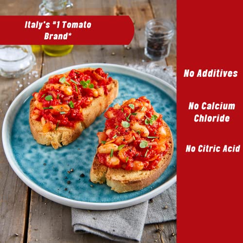 MUTTI CONCENTRE DOUBLE 140 GR X12