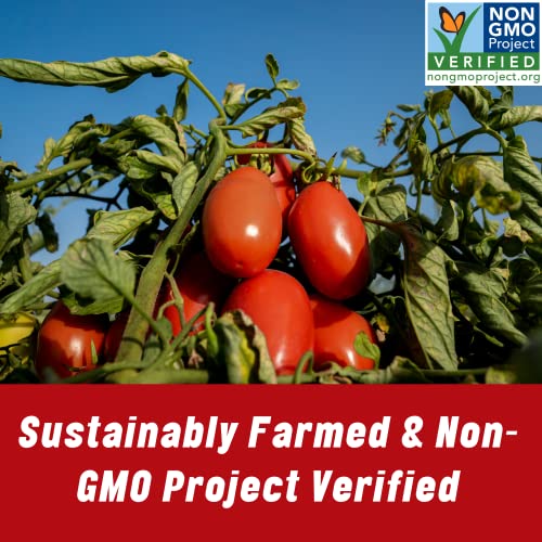 MUTTI CONCENTRE DOUBLE 140 GR X12