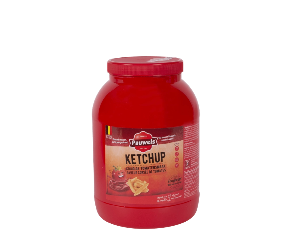 [9502855] KETCHUP 3.3KG PET PAUWELS