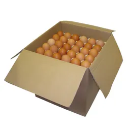 [79020] OEUFS 'M' BRUNS X 180 (CARTON)