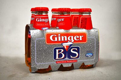 BS BITTER GINGER 6X100ML X 4
