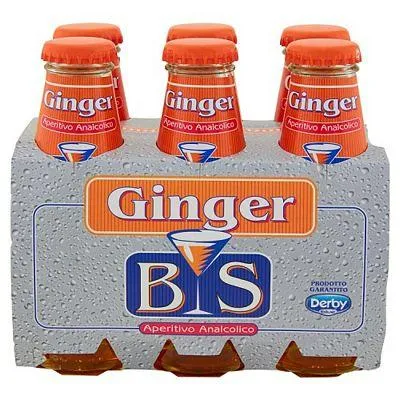 BS BITTER GINGER 6X100ML X 4
