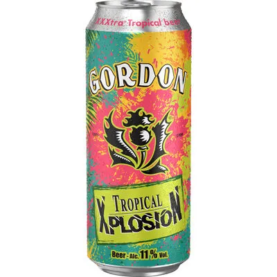 [049482] GORDON TROPICAL XPLOSION 11° CANS 50CL
