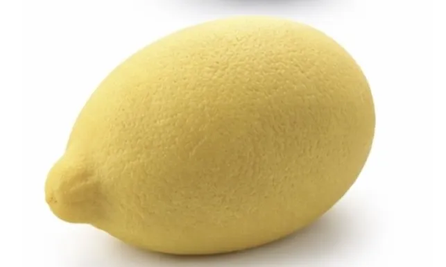 GATEAU TROMPE L'OEIL CITRON 24X100GR
