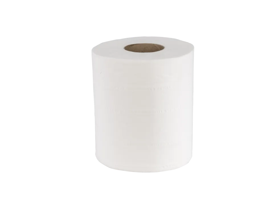 Rouleau d’essuyage blanc 2 plis – 6 rouleaux / pack – 3000 g